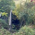 IMG_4788