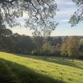 IMG_4814