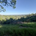 IMG_5253