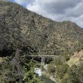 IMG_5384